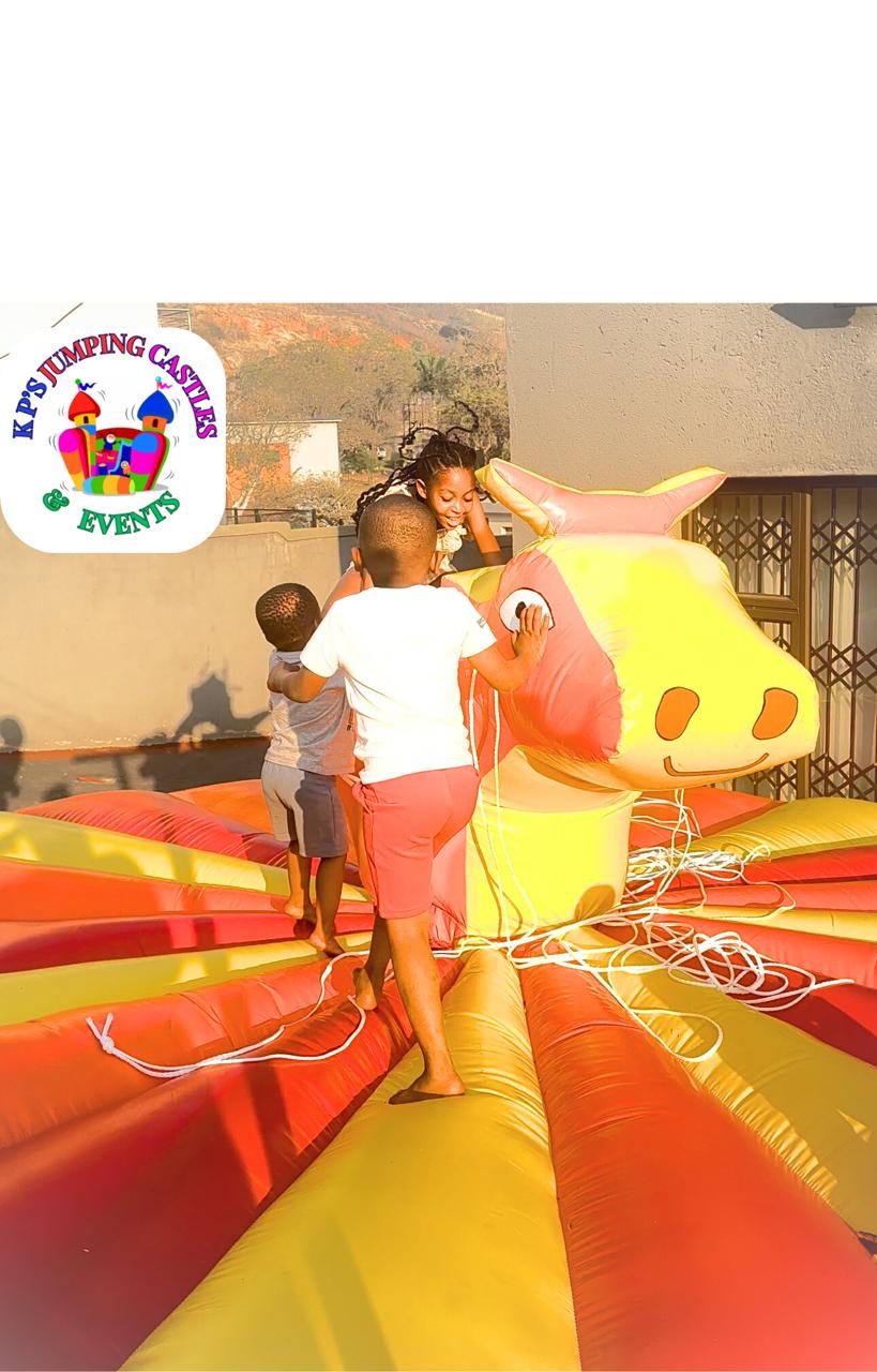 Kids Mechanical Bull